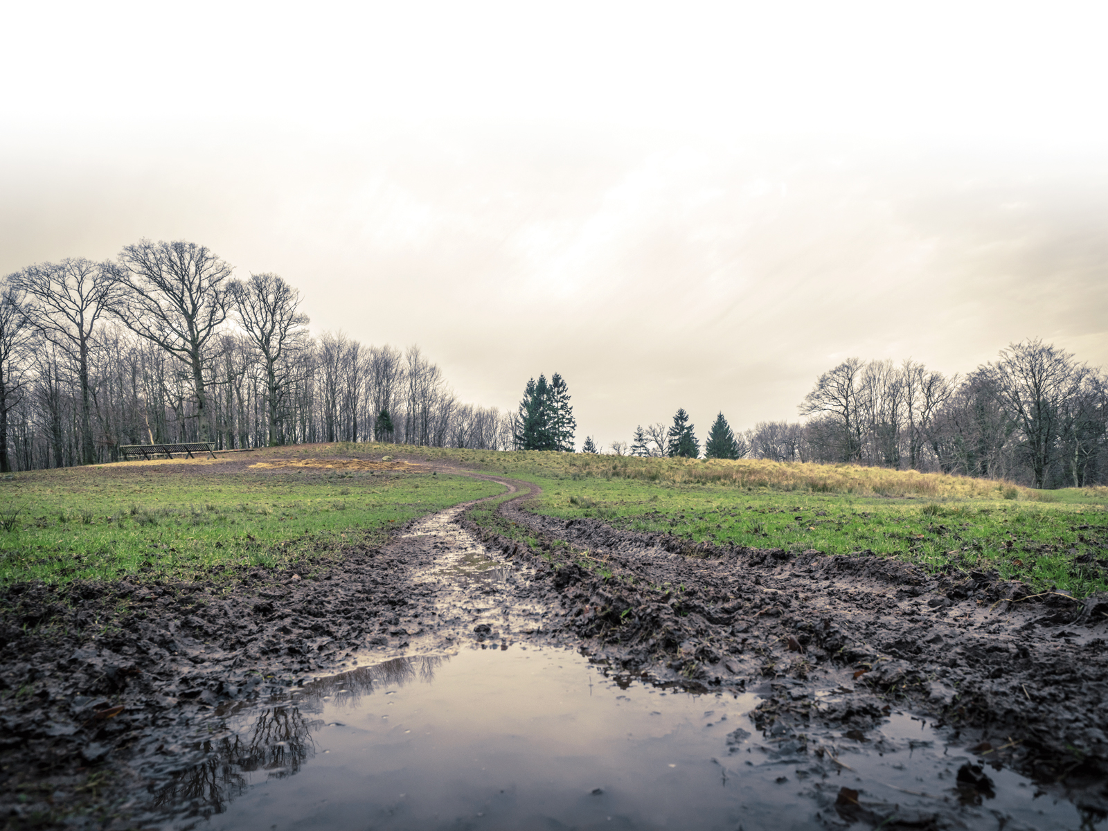 Compacted Soil Remedy – Mother Earth News